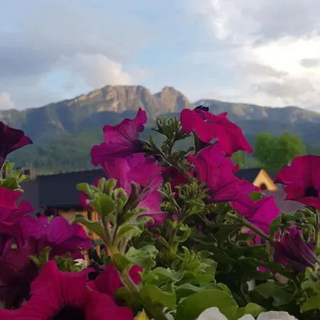 Apartprestige Krupowki Z Widokiem Na Giewont Lub Krupowki アパート *