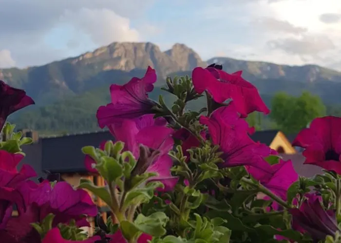 Apartprestige Krupowki Z Widokiem Na Giewont Lub Krupowki Lägenhet *