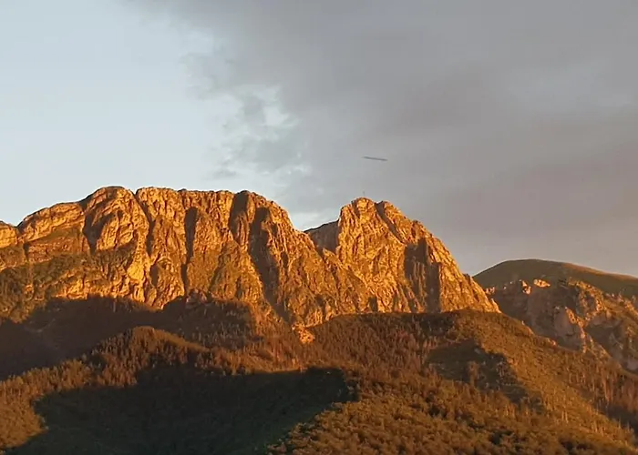 Lägenhet Apartprestige Krupowki Z Widokiem Na Giewont Lub Krupowki *